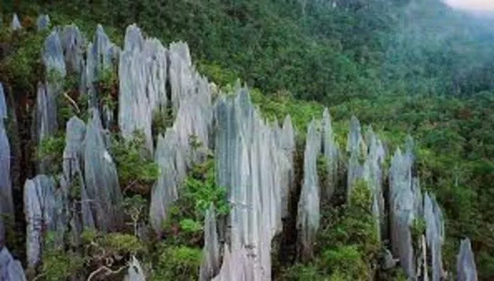 Vườn quốc gia Gunung Mulu (Nguồn: Internet)