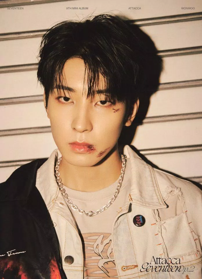 Wonwoo