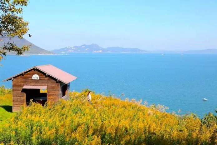 Ảnh: Mitoyo Tourism & Exchange Authority Ảnh: Mitoyo Tourism & Exchange Authority