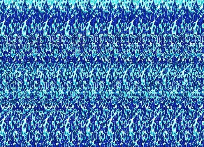 Bạn có nhìn thấy con cá trong hình này không? (Nguồn: Internet) Bạn có nhìn thấy con cá trong hình này không? (Nguồn: Internet)