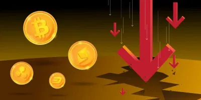 Bitcoin giảm giá sốc trong năm 2022 (Ảnh: Internet).