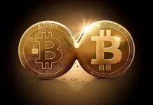 Bitcoin Gold được tạo ra nhằm khắc phục những nhược điểm của Bitcoin (Ảnh: Internet).