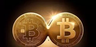 Bitcoin Gold được tạo ra nhằm khắc phục những nhược điểm của Bitcoin (Ảnh: Internet).