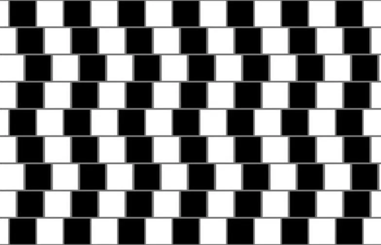 Bạn có thấy những đường nằm ngang bị nghiêng đi không? (Nguồn: Internet) Bạn có thấy những đường nằm ngang bị nghiêng đi không? (Nguồn: Internet)