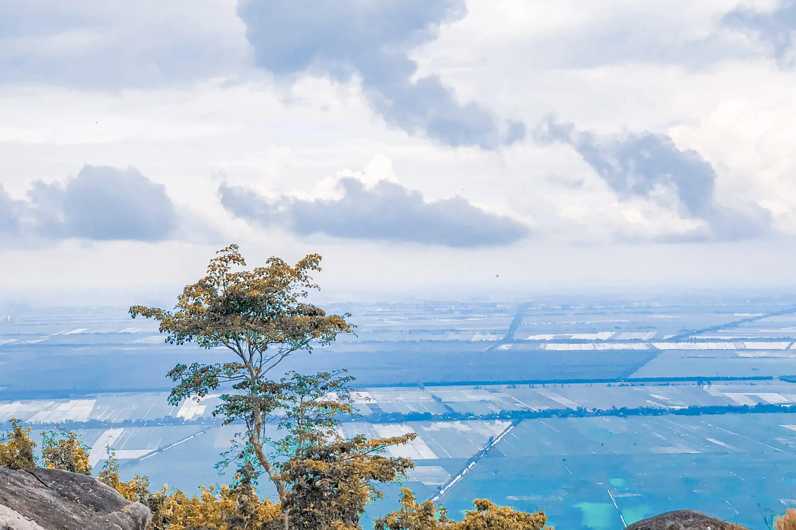 Cảnh đẹp tại núi Cô Tô (ảnh: Trường Vũ Trần)