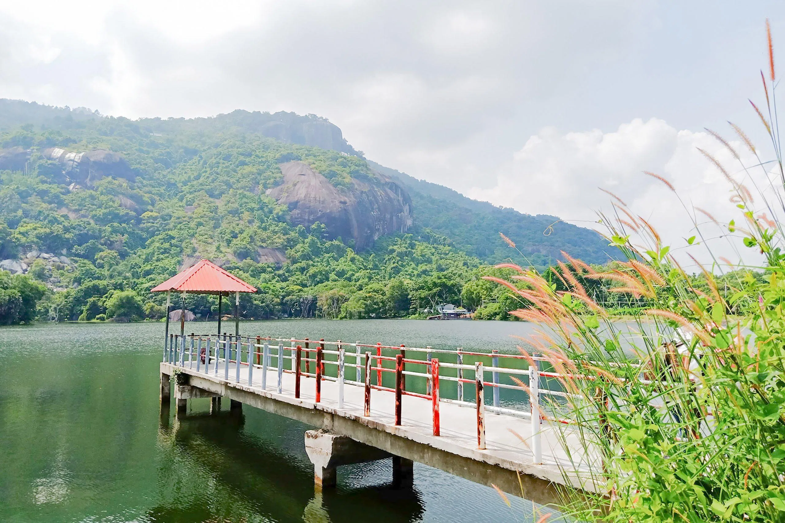 Hồ Soài So (ảnh: Trường Vũ Trần)