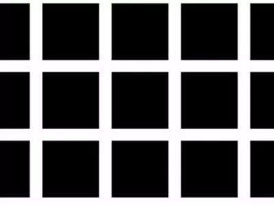 Bạn có thấy những chấm đen nằm ở giao điểm các đường trắng không? (Nguồn: Internet)