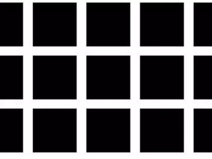 Bạn có thấy những chấm đen nằm ở giao điểm các đường trắng không? (Nguồn: Internet)
