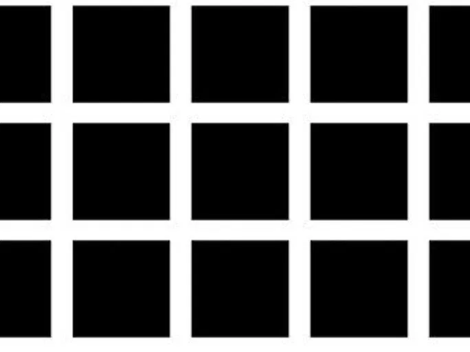 Bạn có thấy những chấm đen nằm ở giao điểm các đường trắng không? (Nguồn: Internet) Bạn có thấy những chấm đen nằm ở giao điểm các đường trắng không? (Nguồn: Internet)