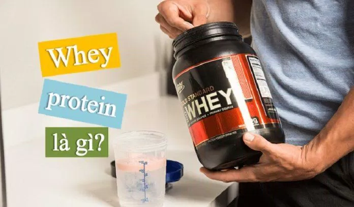 Whey là chất bổ sung phổ biến cho người tập gym (Ảnh: Internet). Whey là chất bổ sung phổ biến cho người tập gym (Ảnh: Internet).