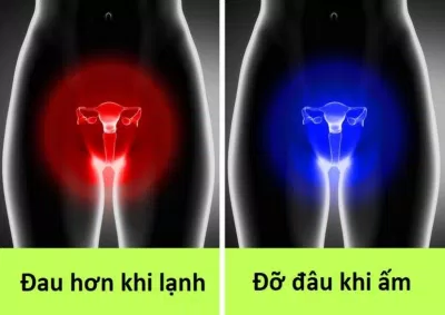 Đó là lí do chúng ta nên giữ ấm đấy (Ảnh: Internet)