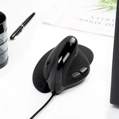 Chuột dọc có dây (Ảnh: Internet). Chuột dọc có dây (Ảnh: Internet).