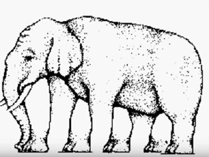 Đâu mới là chân thật của con voi? (Nguồn: Internet) Đâu mới là chân thật của con voi? (Nguồn: Internet)