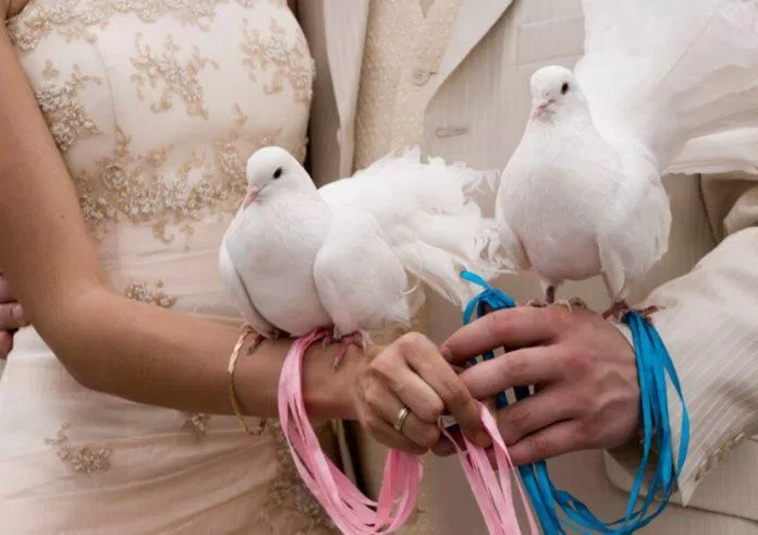 Các cặp vợ chồng mới cưới thả chim bồ câu trắng (Ảnh: Internet)
