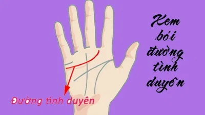 Đường chỉ tay của bạn tiết lộ điều gì về tình yêu của bạn? Đường chỉ tay đường tình duyên tình duyên tình yêu trắc nghiệm Trắc nghiệm tình duyên trắc nghiệm tình yêu