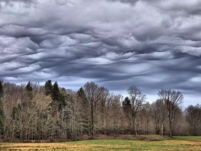 Bạn đã nhìn thấy những đám mây như thế này bao giờ chưa? (Nguồn: Internet)