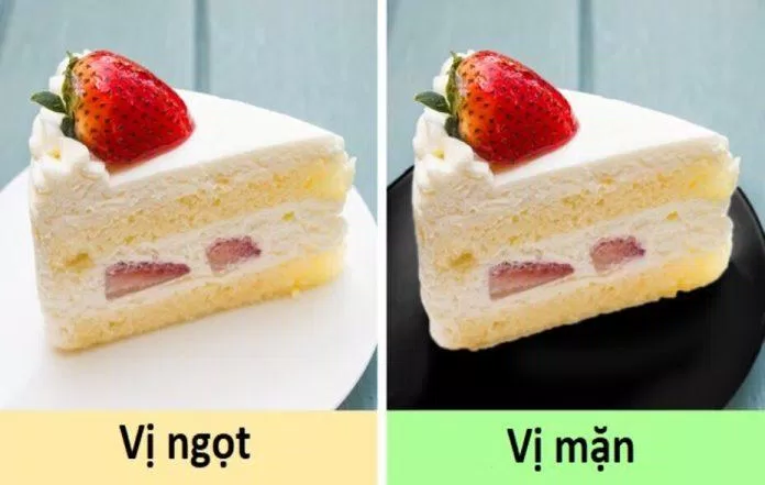 Màu sắc của đĩa cũng giúp tăng hương vị món ăn đấy nhé (Ảnh: Internet)