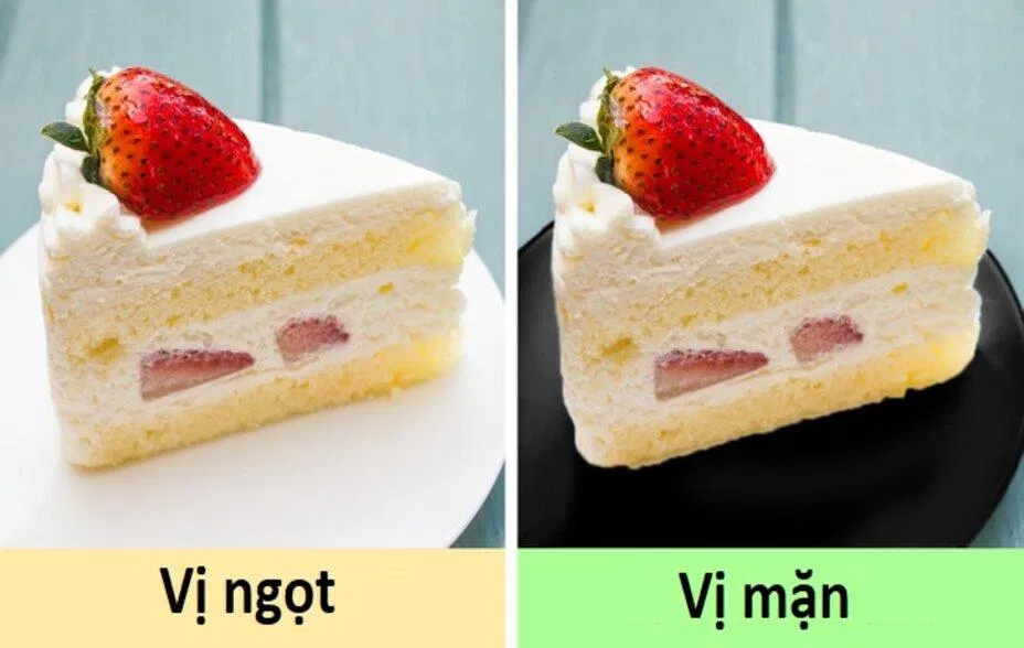 Màu sắc của đĩa cũng giúp tăng hương vị món ăn đấy nhé (Ảnh: Internet)