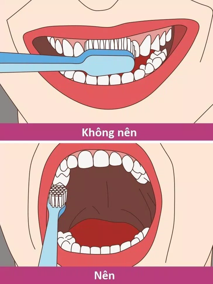 Hẳn là không nhiều người biết điều này nhỉ? (Ảnh: Internet) Hẳn là không nhiều người biết điều này nhỉ? (Ảnh: Internet)