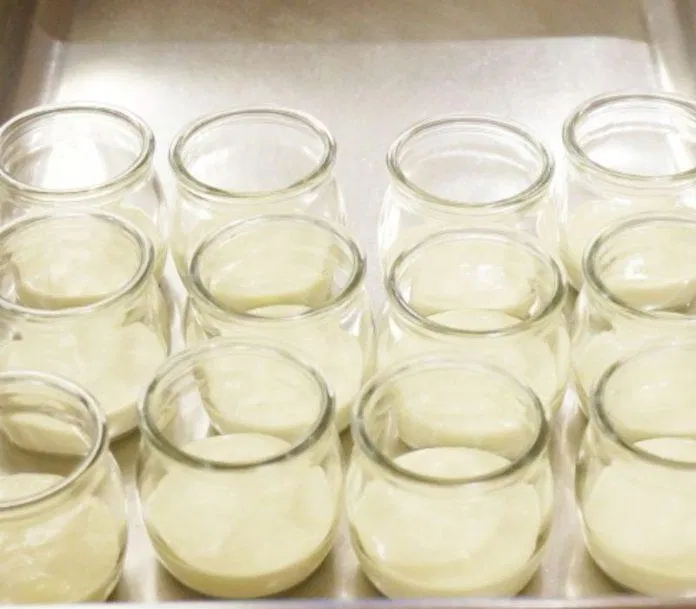 Món panna cotta bị đông cứng (Nguồn: Internet).