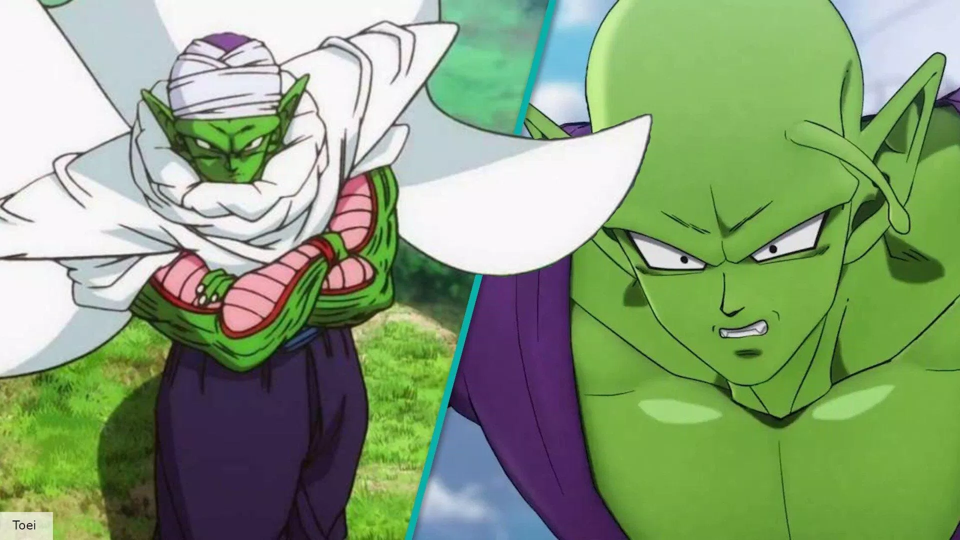 Piccolo (Nguồn: Internet)