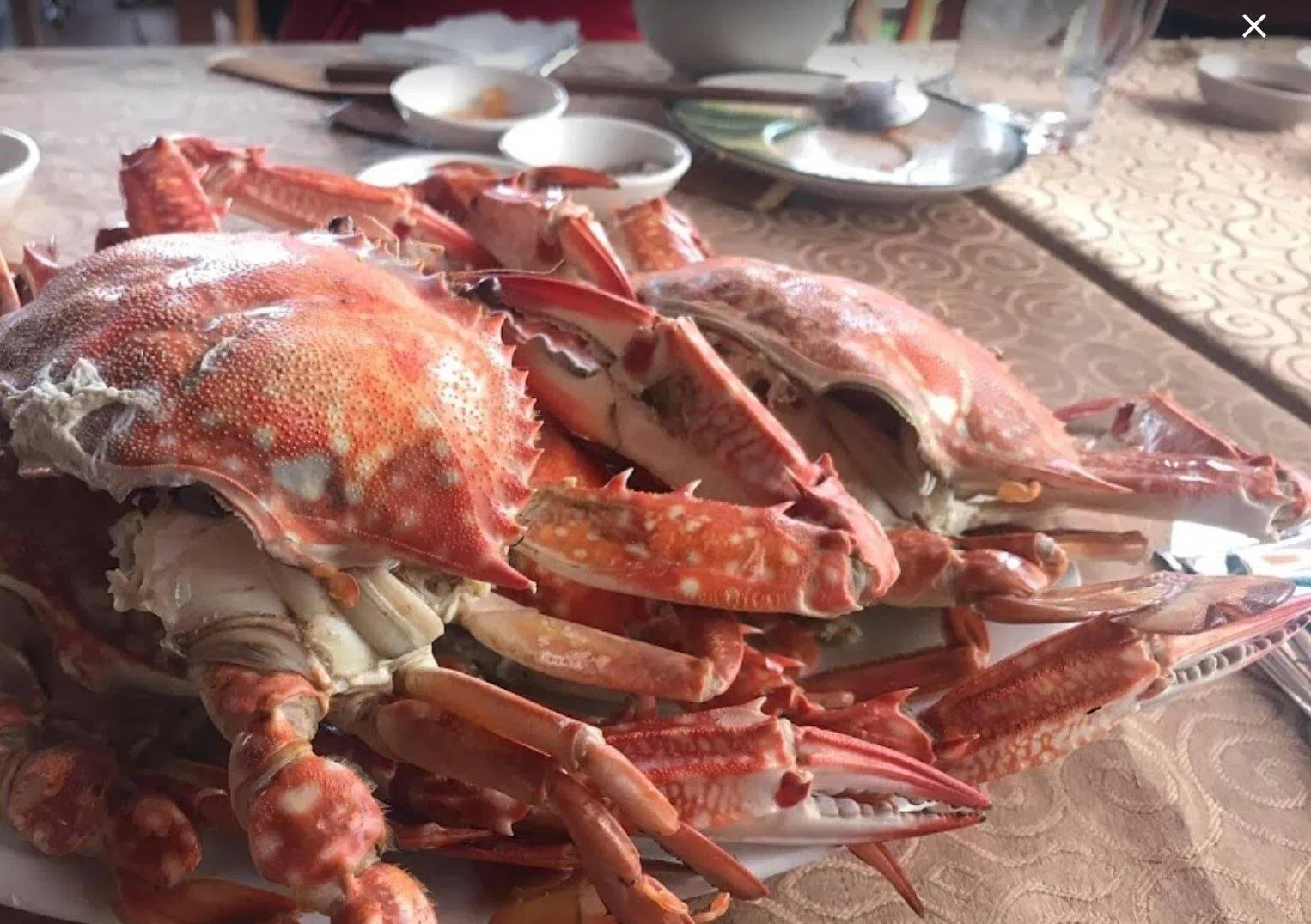 Các món ăn tại Quán ăn ngon Quán Tre 411 Vũng Tàu (Ảnh Internet)