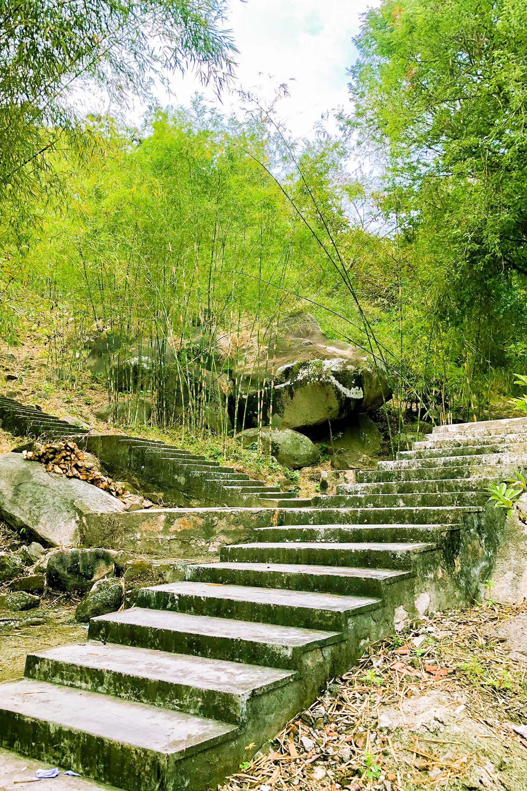 Rừng tre trúc tại miếu Vạn Ban (ảnh: Trường Vũ Trần)