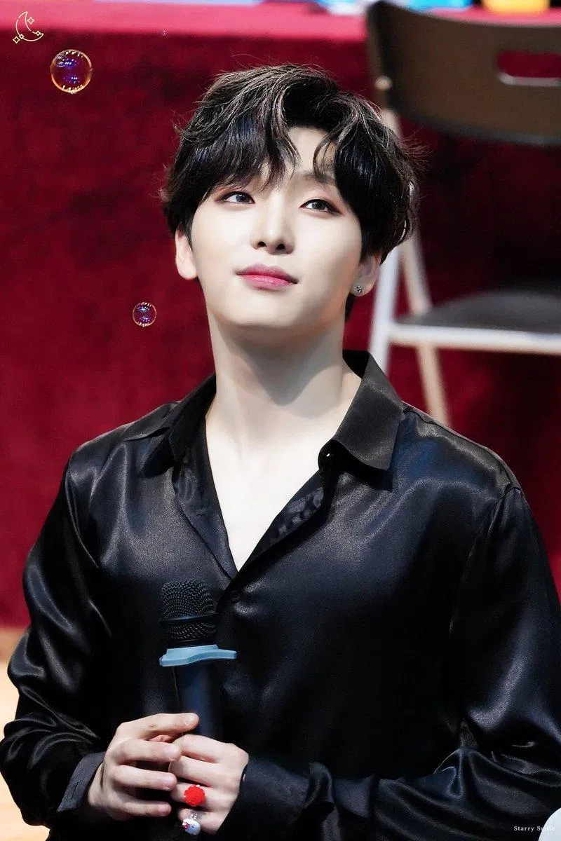 Seo Ho luôn tiến bộ qua mỗi đợt comeback (Ảnh: Internet)