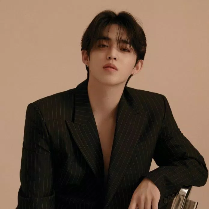 Leader quyền lực của SEVENTEEN săp sửa nhập ngũ vào năm 2023 (Ảnh: internet)
