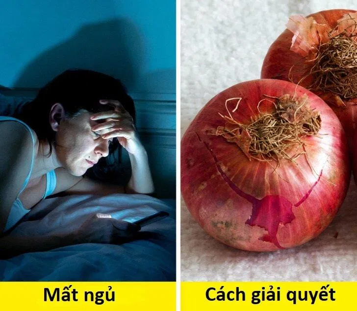 Đây là chất an thần mà tự nhiên ban tặng cho chúng ta (Ảnh: Internet)