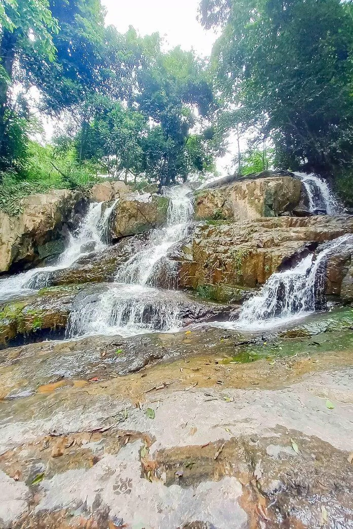 F cánh đồng hoa (Nguồn: Trường Vũ Trần)