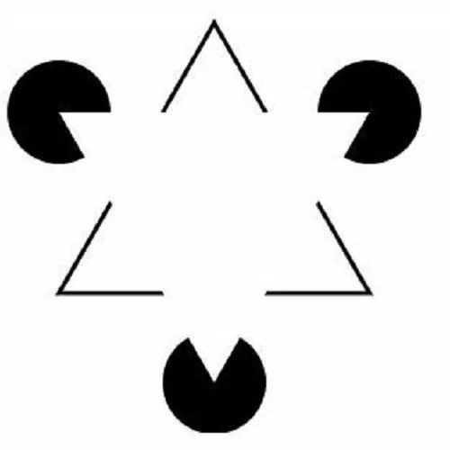 Bạn có nhìn thấy hình tam giác màu trắng không? (Nguồn: Internet)
