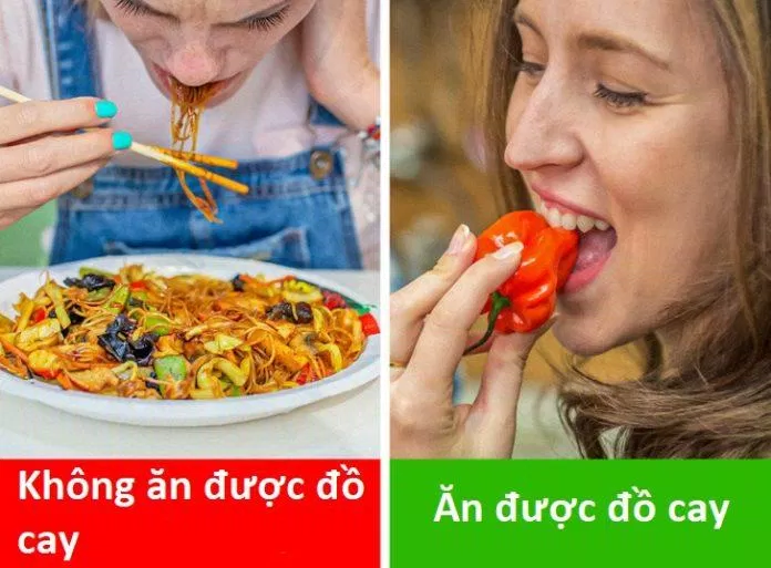 Việc bạn có ăn được đồ cay hay không cũng phụ thuộc vào gene di truyền đấy (Ảnh: Internet) Việc bạn có ăn được đồ cay hay không cũng phụ thuộc vào gene di truyền đấy (Ảnh: Internet)