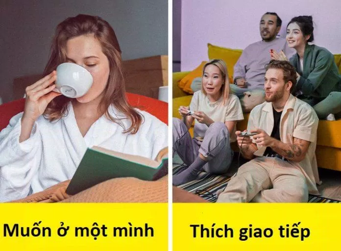 Sự hướng nội và hướng ngoại cũng nằm trong gene đấy (Ảnh: Internet) Sự hướng nội và hướng ngoại cũng nằm trong gene đấy (Ảnh: Internet)