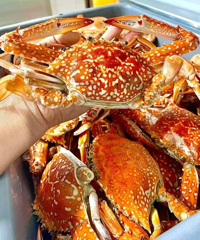 Nhà ghẹ Phú Quốc Crab House (nguồn: internet)