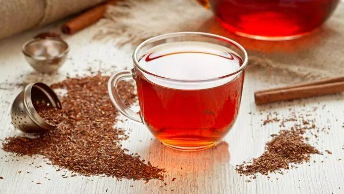 Trà rooibos có nguồn gốc từ Nam Phi (Ảnh: Internet). Trà rooibos có nguồn gốc từ Nam Phi (Ảnh: Internet).