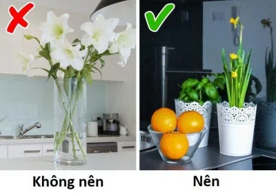 Trái cây được ưa thích hơn hoa (Ảnh: Internet)