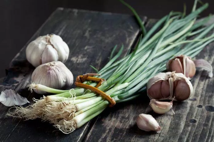 79 Để giảm mùi khó chịu cho cơ thể cần tránh 9 loại thực phẩm này trong ngày hè mới nhất 12 Hành, tỏi, hẹ gây ra mùi cơ thể (Nguồn: Internet)