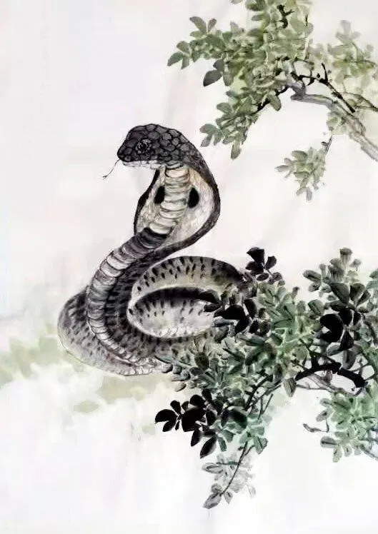 Xem tuổi xông nhà 2023 cho tuổi Kỷ Tỵ. (Ảnh: Internet)