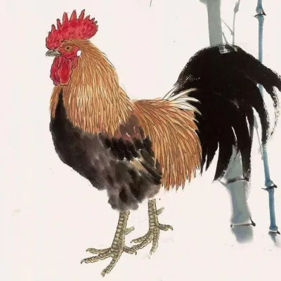 Dự đoán tử vi hôm nay 12 con giáp 14/6/2022. (Ảnh: Internet)