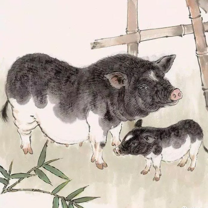 Dự đoán tử vi tuổi Hợi 2023 theo tuổi: Tam hợp thuận lợi nhưng cần tự thân cố gắng - BlogAnChoi