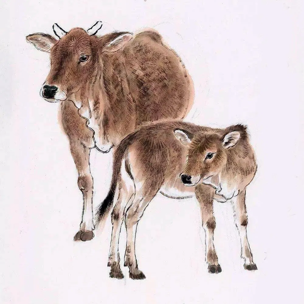 Dự đoán tử vi hôm nay 12 con giáp 14/6/2022. (Ảnh: Internet)