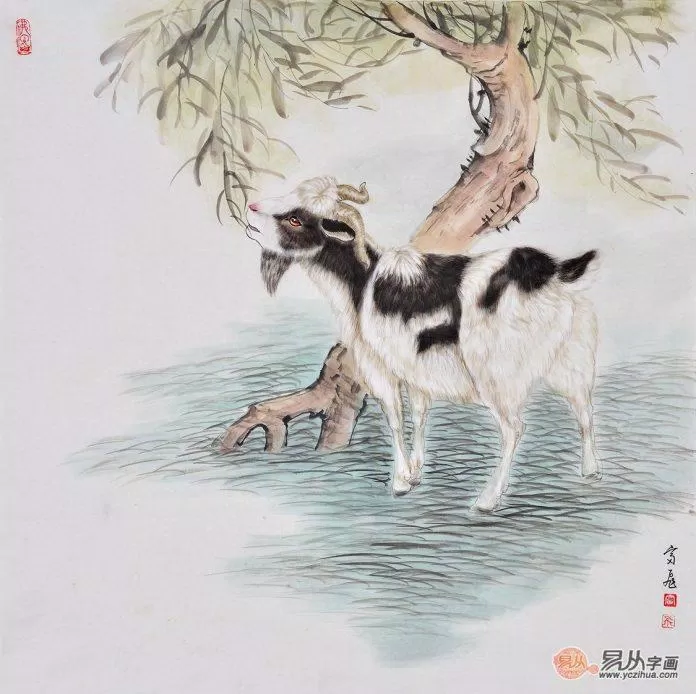 Tử vi hôm nay 12 con giáp 28/6/2022. (Ảnh: Internet)
