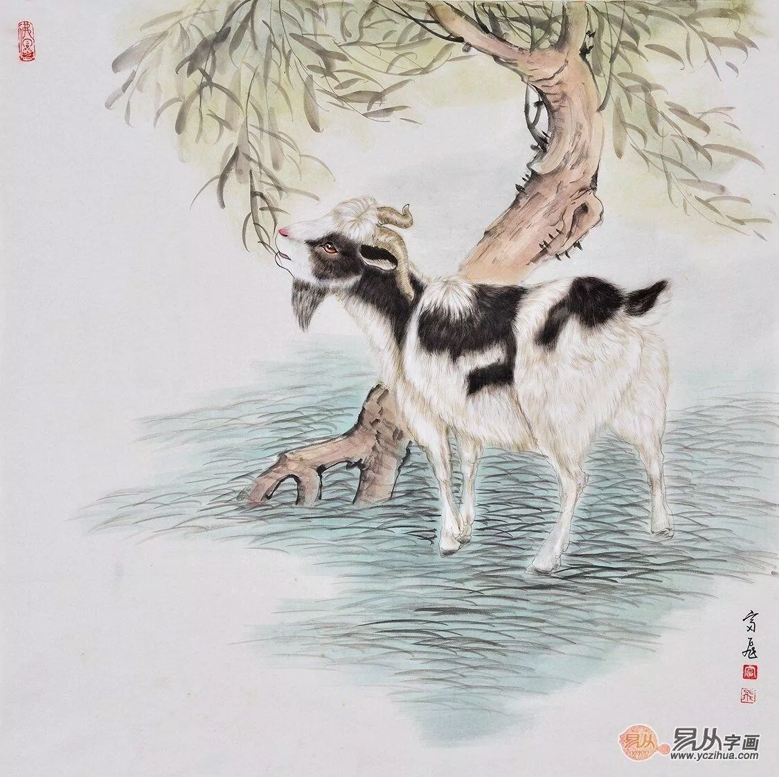 Tử vi hôm nay 12 con giáp 28/6/2022. (Ảnh: Internet)
