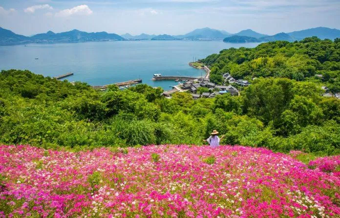 Ảnh: Mitoyo Tourism & Exchange Authority Ảnh: Mitoyo Tourism & Exchange Authority