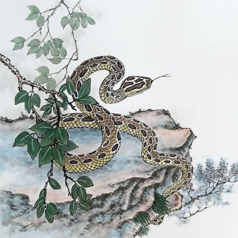 Xem tuổi xông nhà 2023 cho tuổi Sửu (Ảnh: Internet)