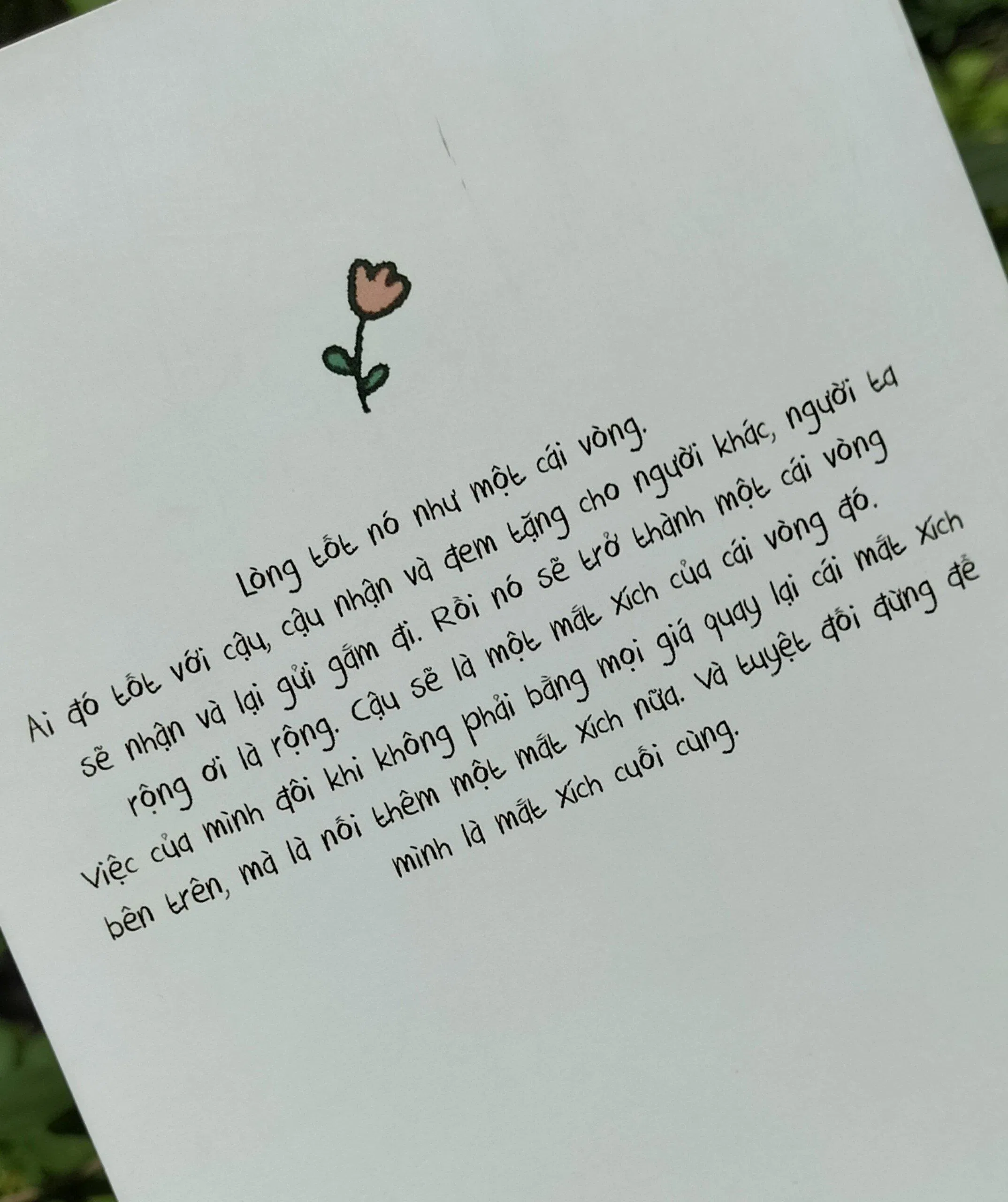 Mặt sau của sách Lê la từ nhà ra ngõ (Ảnh: BlogAnChoi).