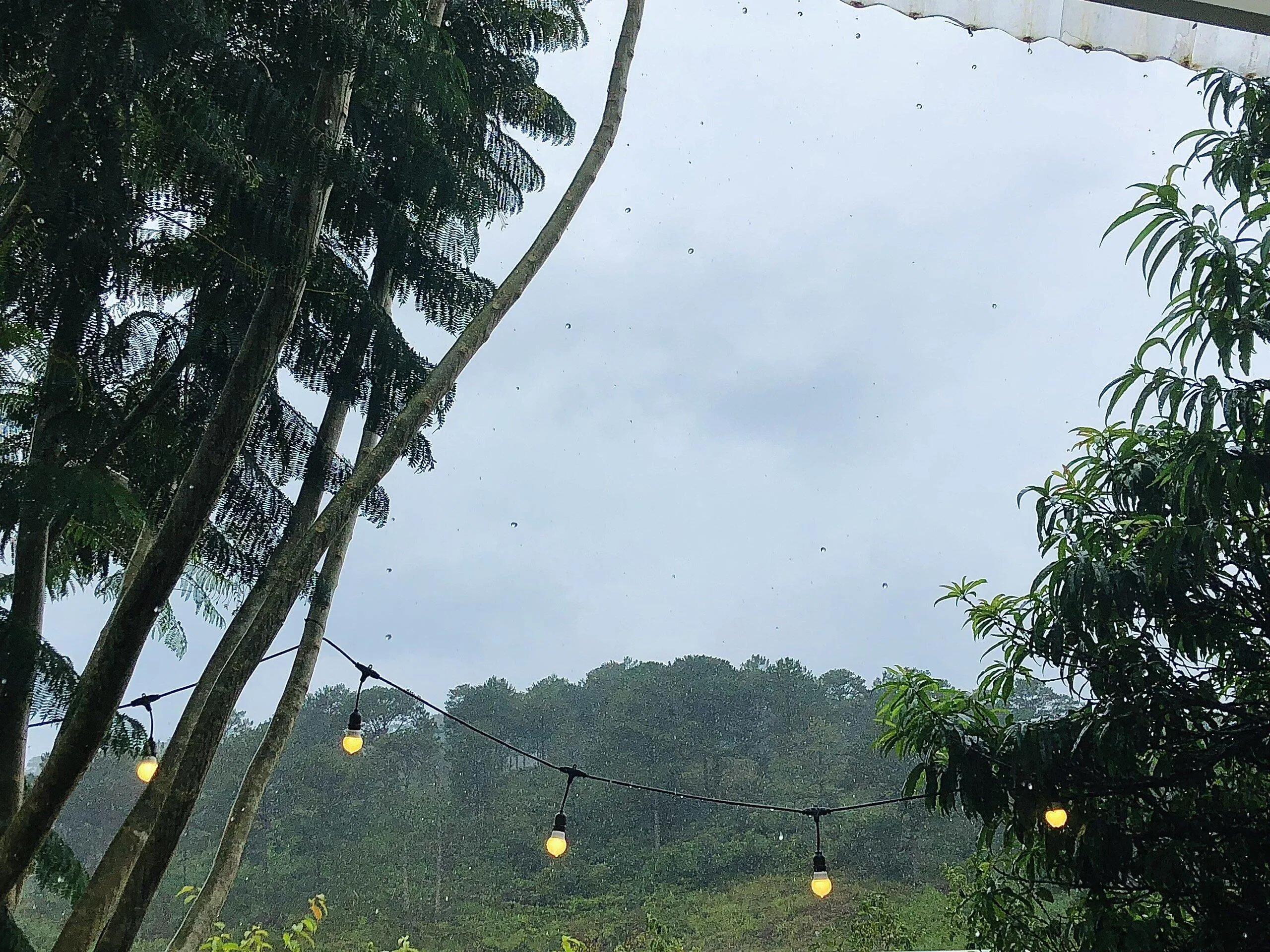 View ngắm mưa rất chill tại quán. (Nguồn ảnh: BlogAnChoi).