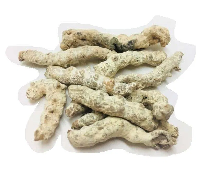 Bạch cương tàm (Nguồn: Internet).