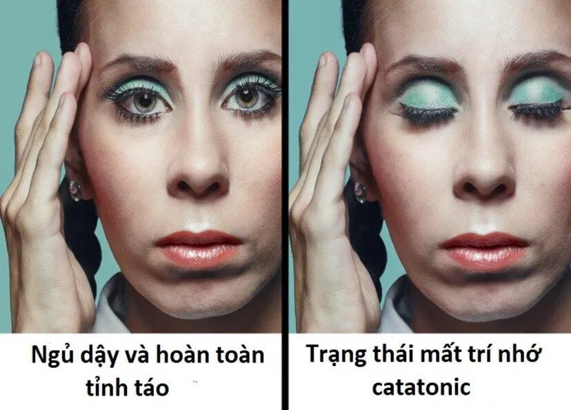 Sự thật về cơ thể con người (Ảnh: Internet)